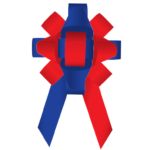 Bows- 30 Inch Build-a-Bow Custom 2-Color Car Bows - Image 19