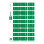 File Right Month Labels- Ringbook - Image 5