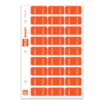 File Right Month Labels- Ringbook - Image 7