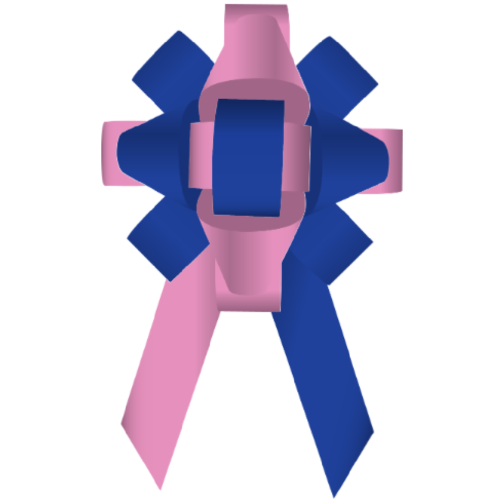 Bows- 30 Inch Build-a-Bow Custom 2-Color Car Bows - Image 47