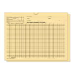 Accounts Payable Voucher Env. - DSA-540 BLUE - Qty. 500 - Image 2
