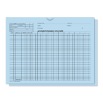 Accounts Payable Voucher Env. - DSA-540 BLUE - Qty. 500 - Image 3