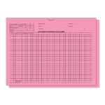 Accounts Payable Voucher Env. - DSA-540 BLUE - Qty. 500 - Image 5