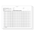 Accounts Payable Voucher Env. - DSA-540 BLUE - Qty. 500 - Image 6