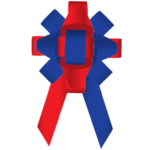 Bows- 30 Inch Build-a-Bow Custom 2-Color Car Bows - Image 69