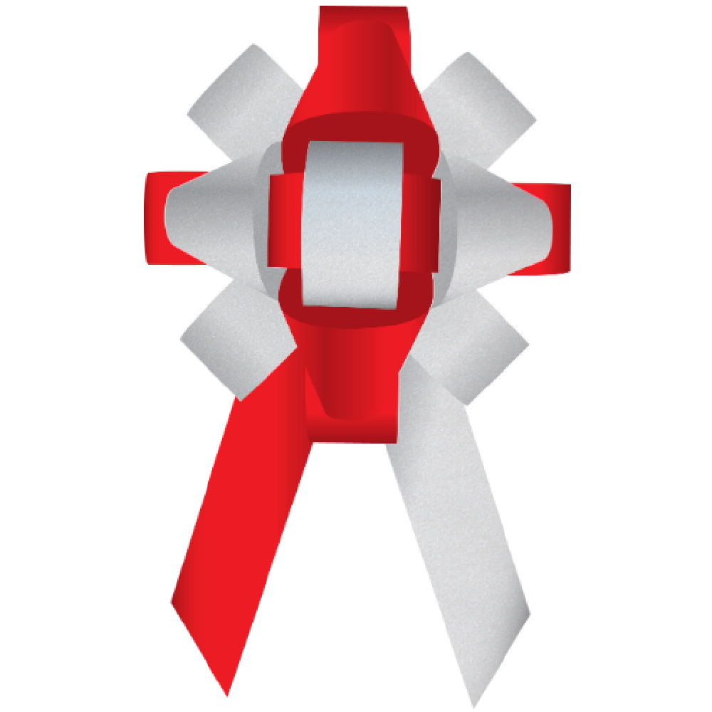Bows- 30 Inch Build-a-Bow Custom 2-Color Car Bows - Image 75