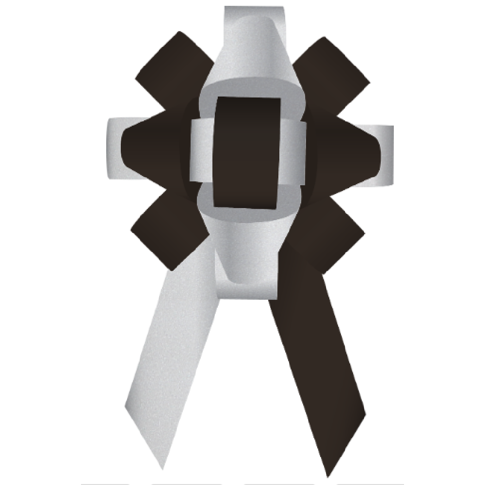 Bows- 30 Inch Build-a-Bow Custom 2-Color Car Bows - Image 79