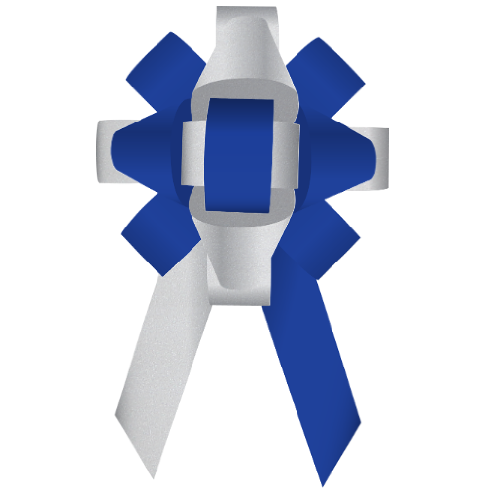 Bows- 30 Inch Build-a-Bow Custom 2-Color Car Bows - Image 80