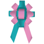 Bows- 30 Inch Build-a-Bow Custom 2-Color Car Bows - Image 94
