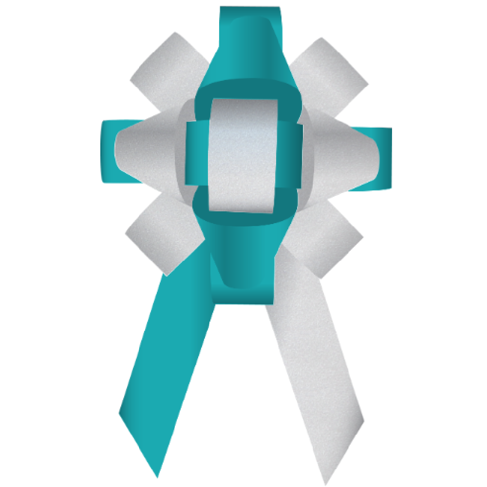 Bows- 30 Inch Build-a-Bow Custom 2-Color Car Bows - Image 97