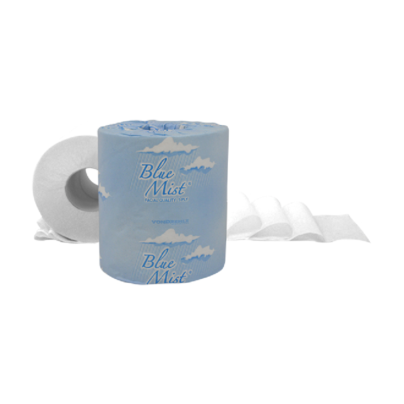 Economy Toilet Paper